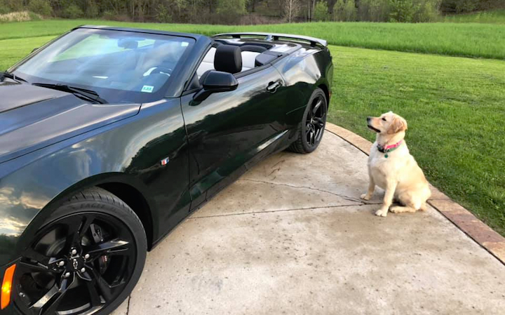 Our First Look At The 2020 Camaro In Rally Green, GM Authority