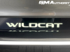 2022-buick-wildcat-ev-concept-2023-amelia-concours-live-photos-exterior-013-led-wildcat-logo-badge