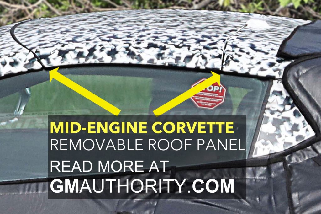 Mid-Engine Corvette Removable Roof Panel Spotlight