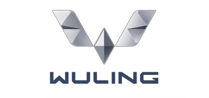 New Wuling Global Silver Logo Marks Next Chapter GM 