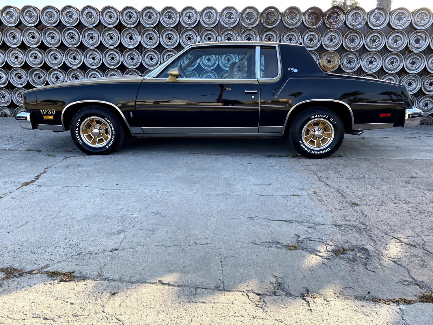 1979 cutlass supreme outlet black