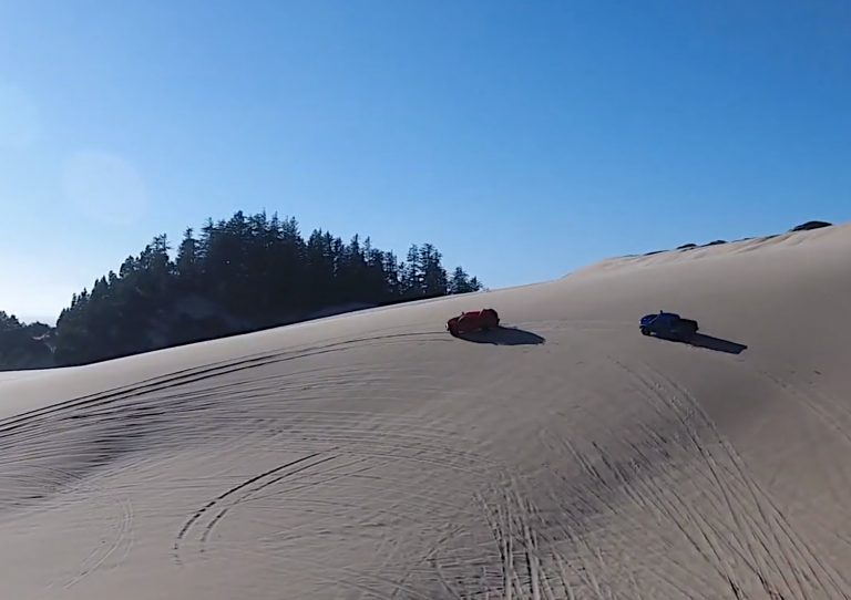 Aev Colorado Zr Bisons Frolic On Oregon Sand Dunes Video Gm Authority