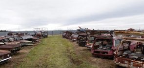 Corvair Ranch Is The World's Largest Chevy Corvair Graveyard: Video