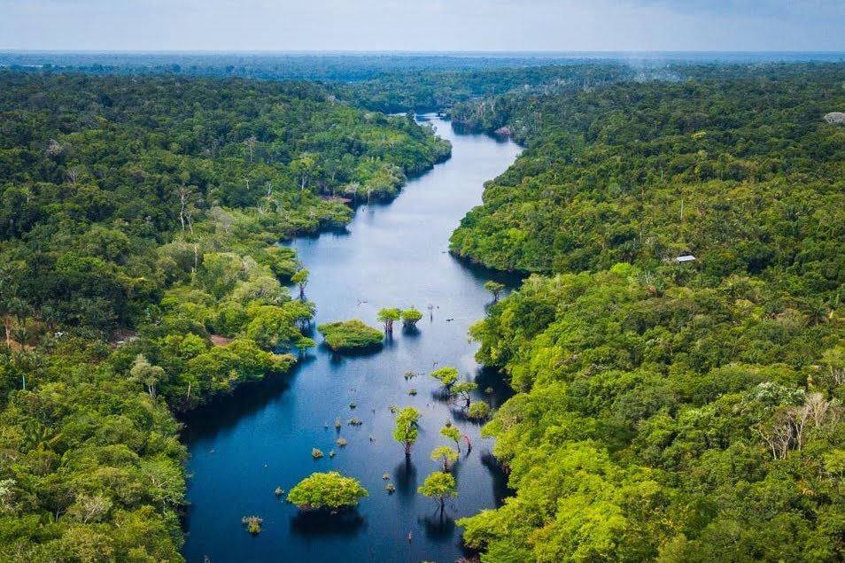 Gm Supports Brazil S Amazon Rainforest Restoration