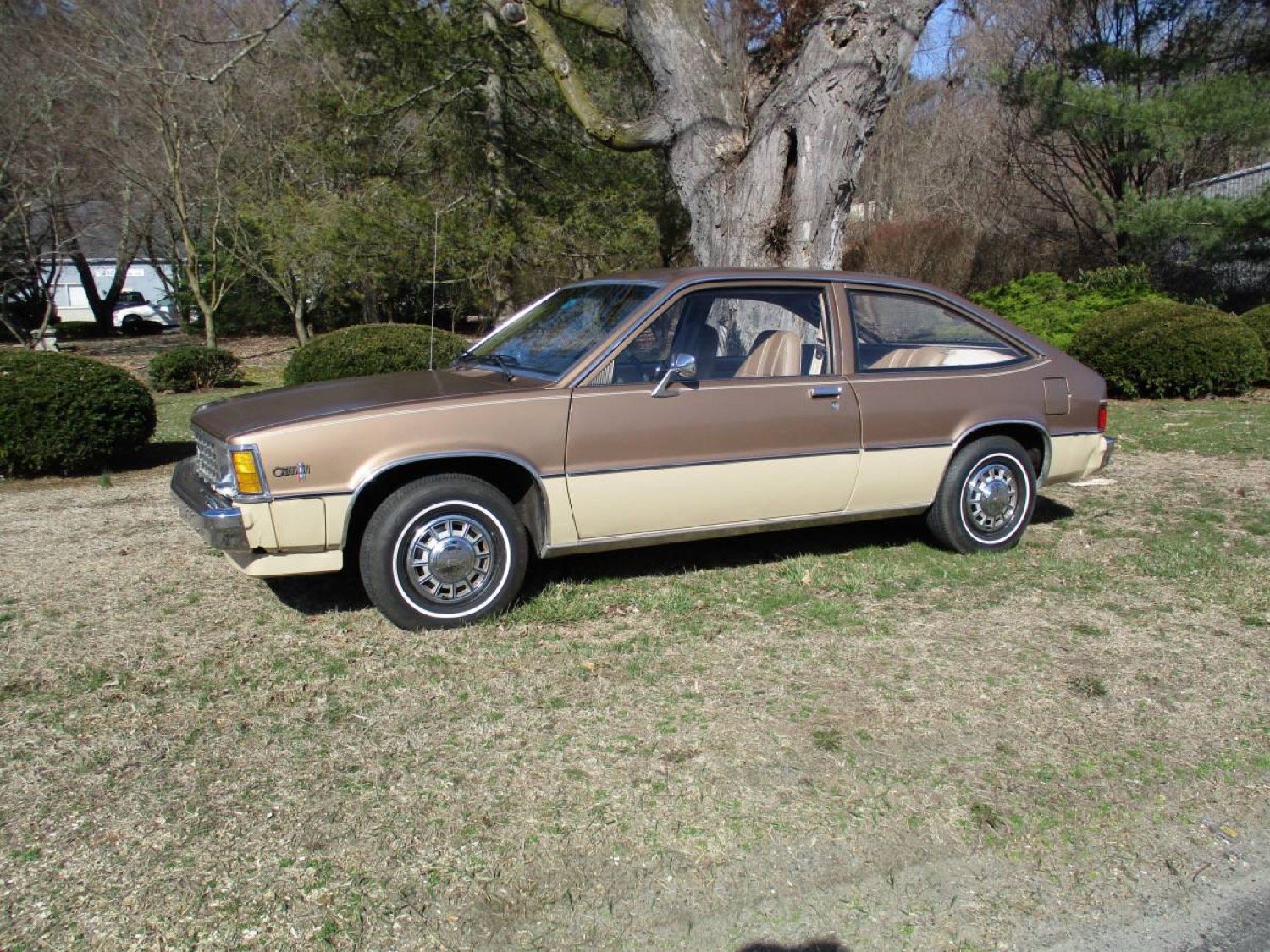 Clean 1981 Chevy Citation Coupe Up For Sale