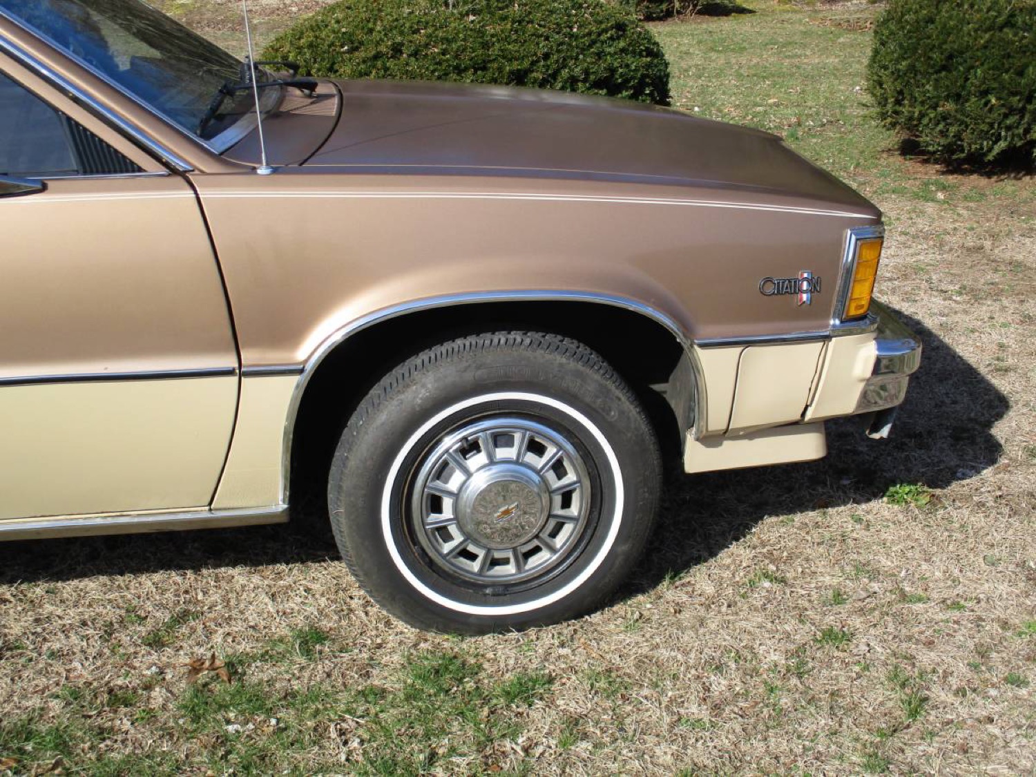 Clean 1981 Chevy Citation Coupe Up For Sale