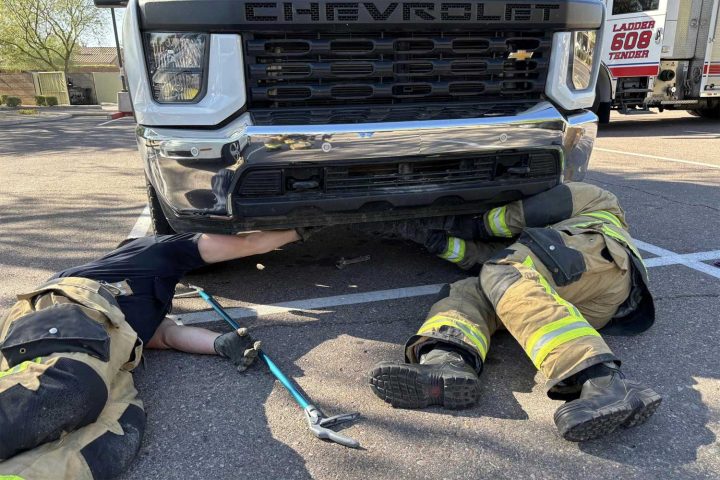 Firefighters working to extract the boa constrictor.