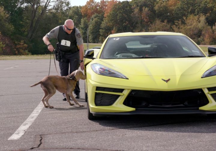 Kasey and Rick Rodden of the GM K9 Unit in action. 