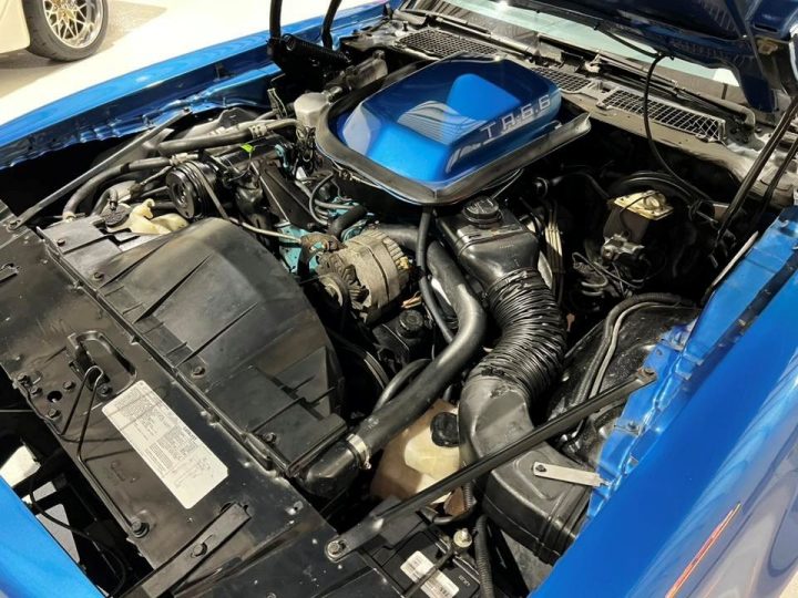 1978 Pontiac Trans Am engine bay.