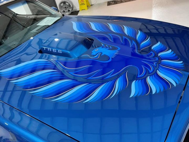 1978 Pontiac Trans Am hood.