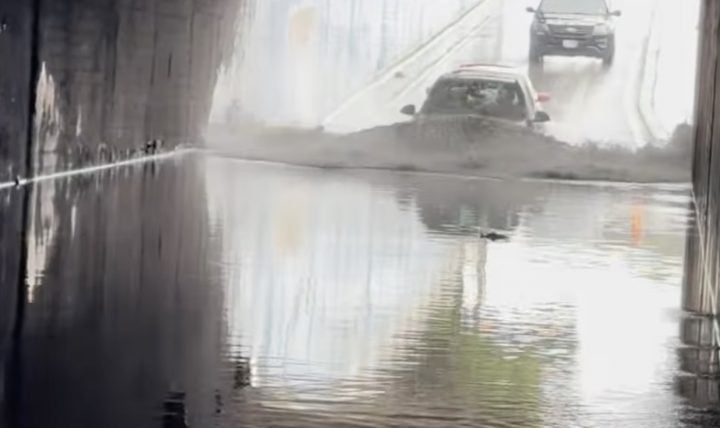 A Chevy Bolt EUV navigates flood waters in Texas.